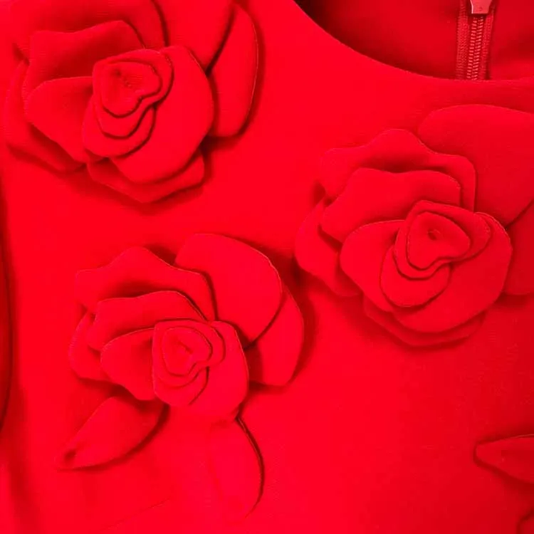 3D Flower Embellished Mini Dress in Red