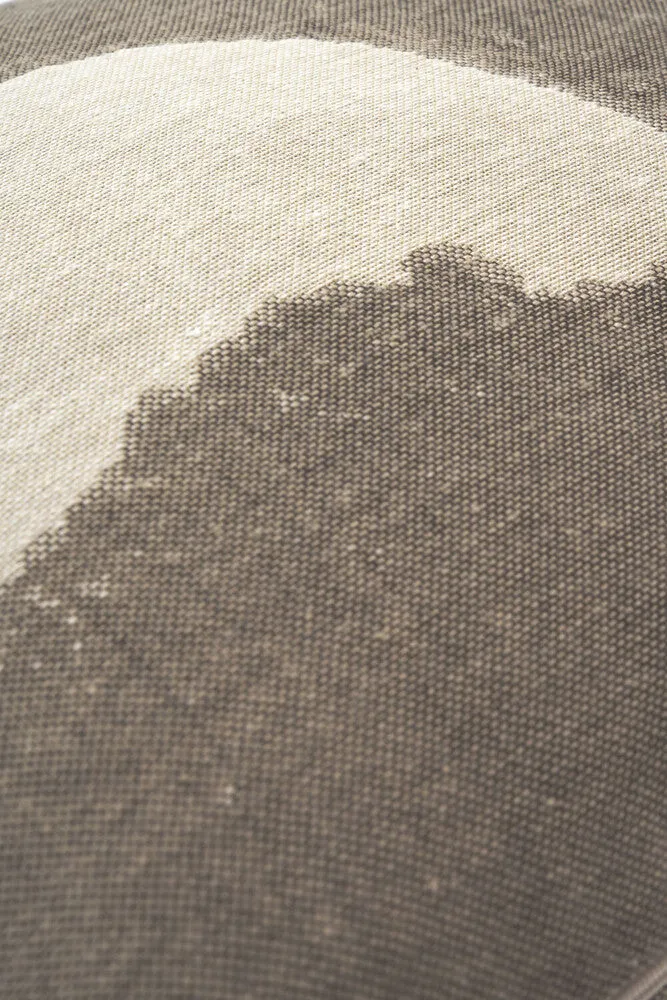 abstract detail indoor/outdoor pillow