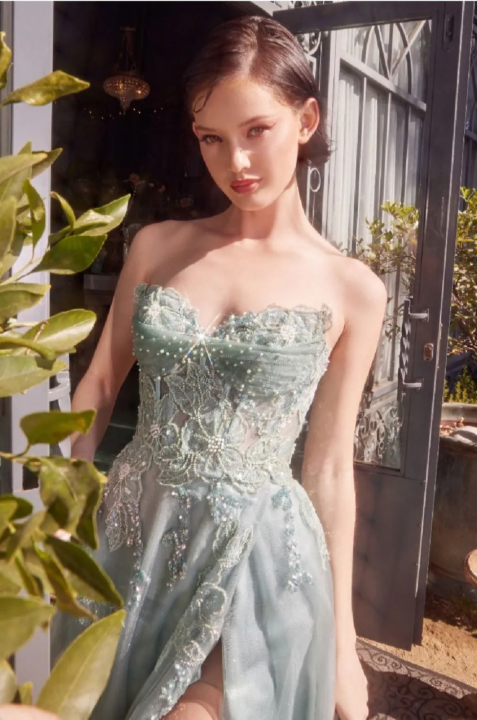 Andrea & Leo Evening Gown A1378
