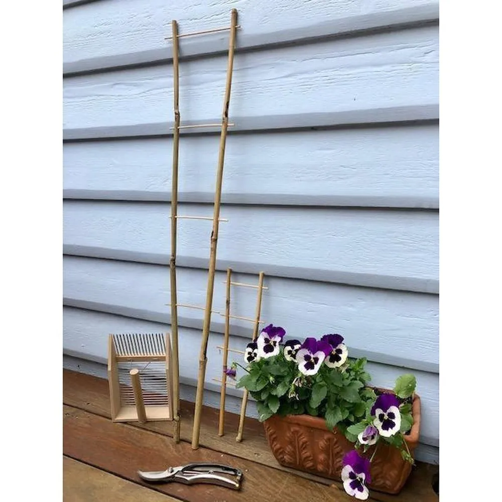 Bamboo Ladder Trellis for Indoor and Climbing Plants