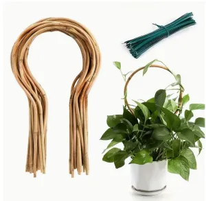 Bamboo Trellis Loop Shaped