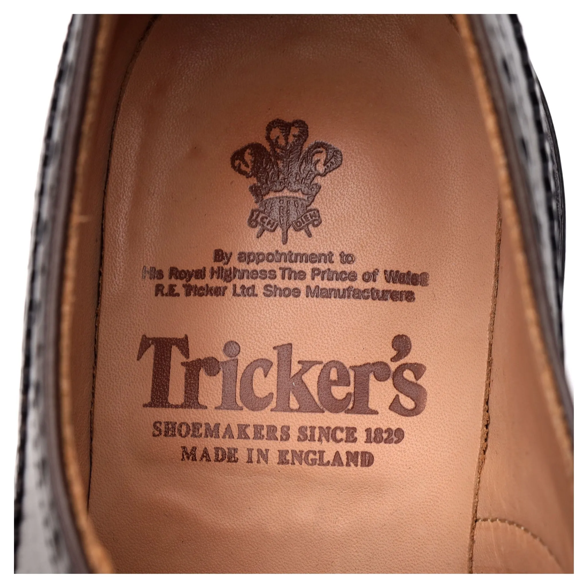 'Bourton' Dark Brown Leather Derby UK 9