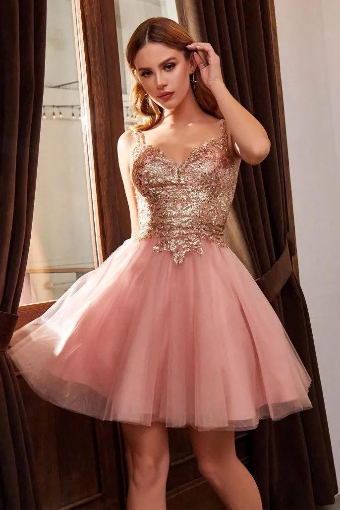 Cinderella Evening Dress 9239