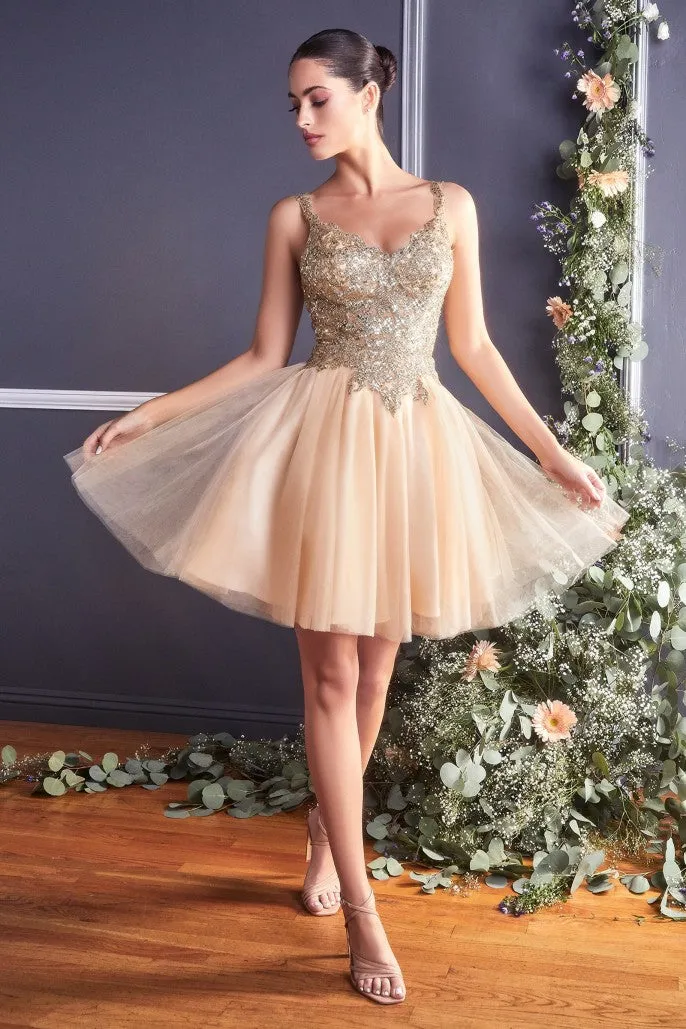 Cinderella Evening Dress 9239