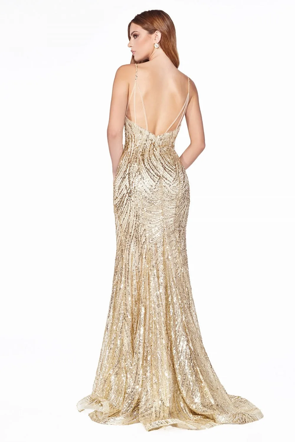 Cinderella Evening Dress CR844