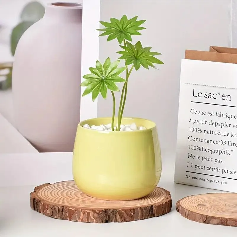 Classic Ceramic Macaron Plant Pots with Drainage Holes