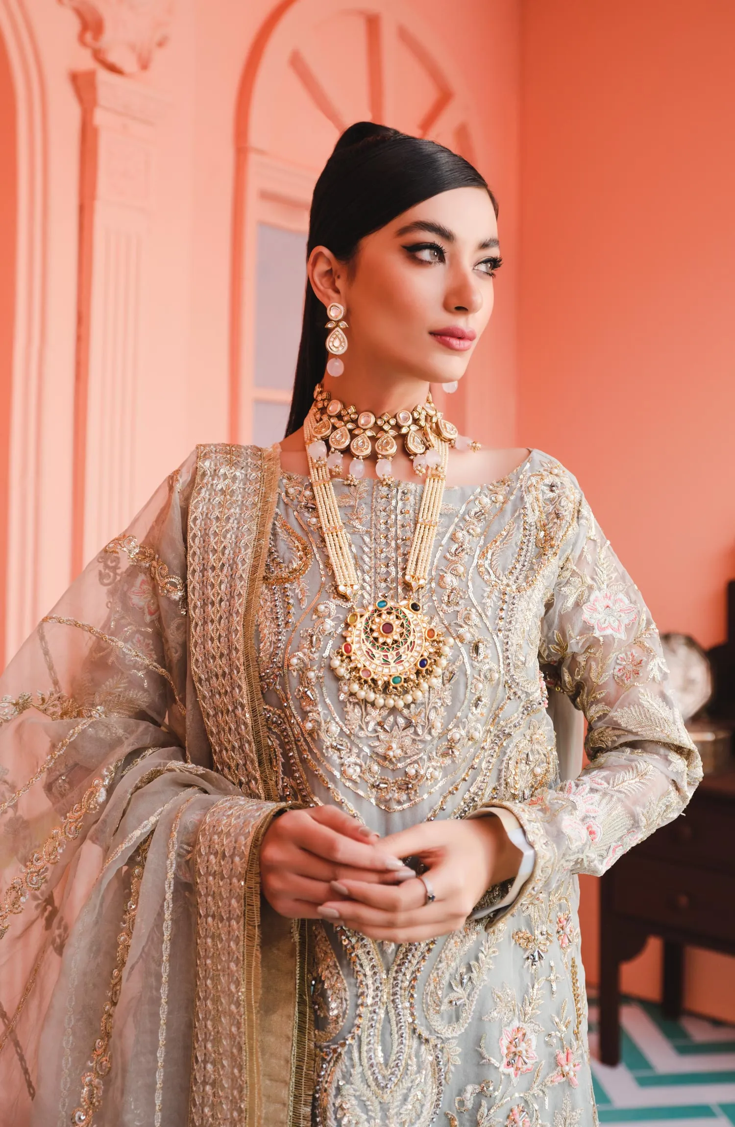 Elegant Fancy Dress Pakistani in Silver Shade #PF377