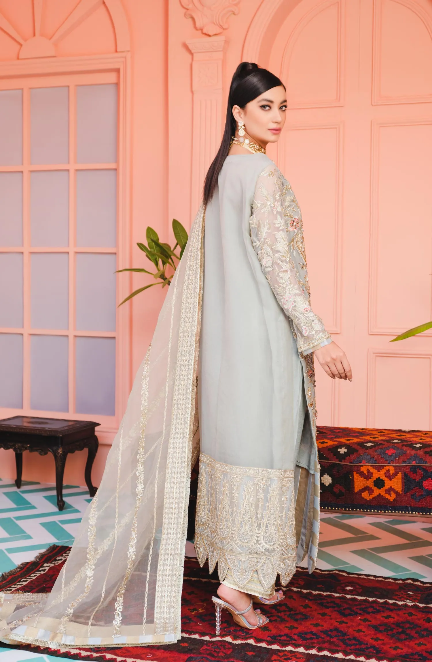 Elegant Fancy Dress Pakistani in Silver Shade #PF377
