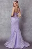 Embellished Lace Mermaid Gown
