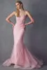 Embellished Lace Mermaid Gown
