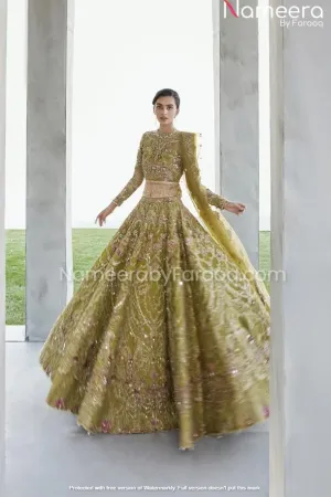 Embellished Organza Lehenga Choli Dress Online #PN107