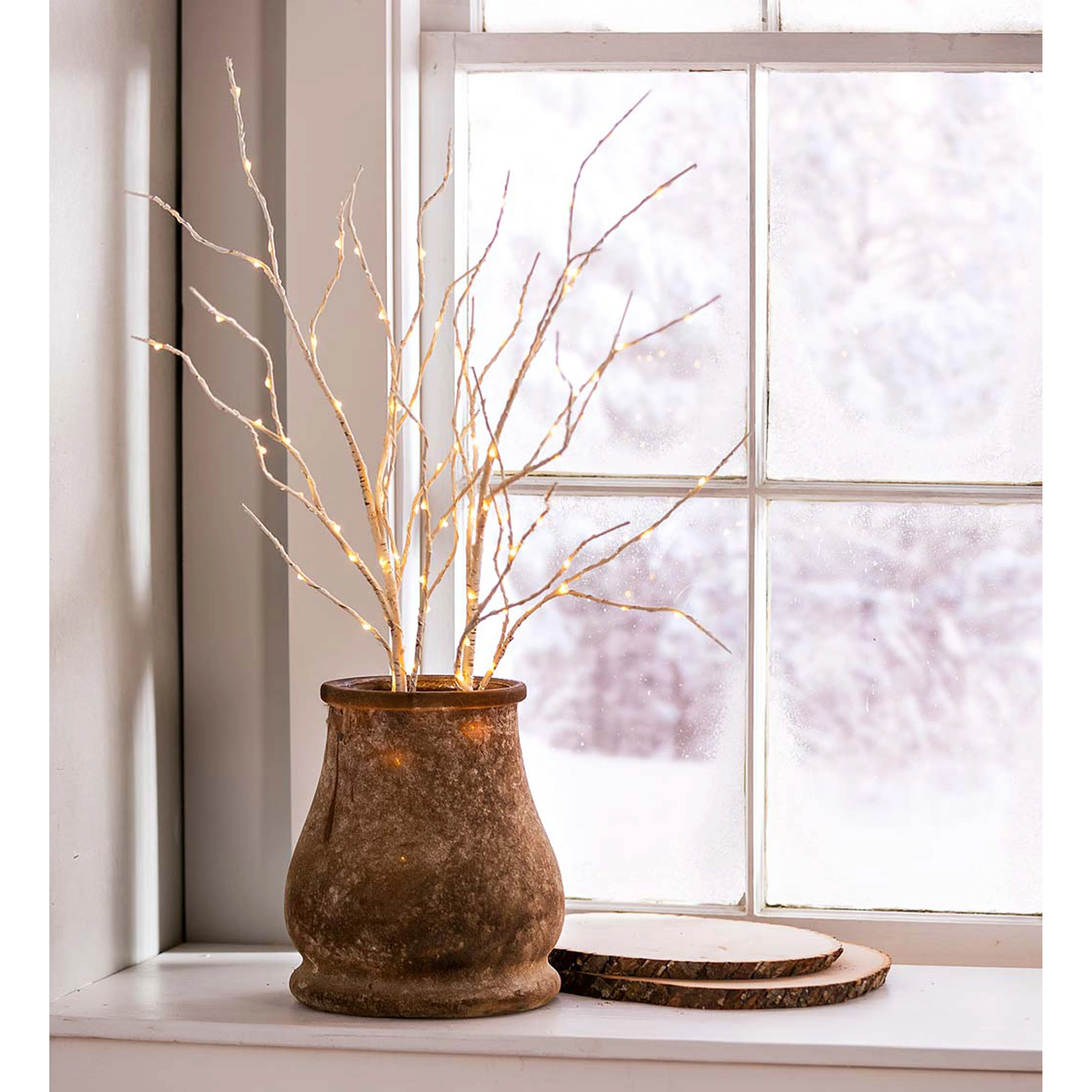 Evergreen Home Accents,Indoor/Outdoor Lighted Birch Branches, Set of 2,21.5x21.5x33.5 Inches