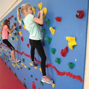 Everlast Climbing 10' H Chroma® Climbing Wall