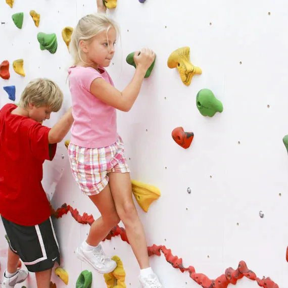 Everlast Climbing 10' H Discovery® Dry-Erase Climbing Wall