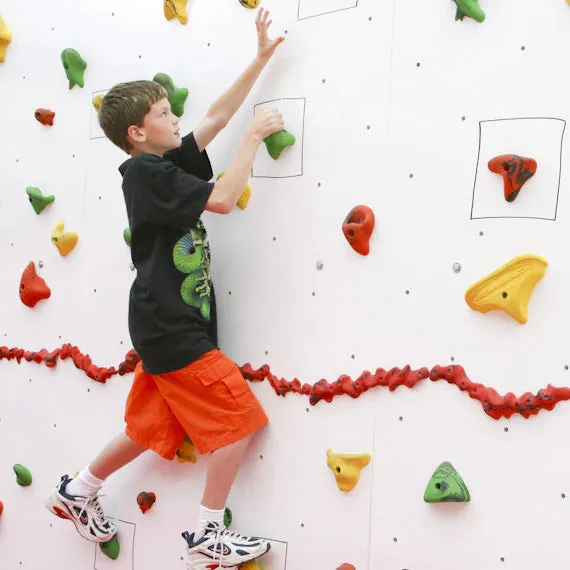 Everlast Climbing 10' H Discovery® Dry-Erase Climbing Wall