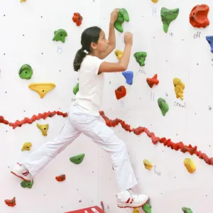 Everlast Climbing 10' H Discovery® Dry-Erase Climbing Wall