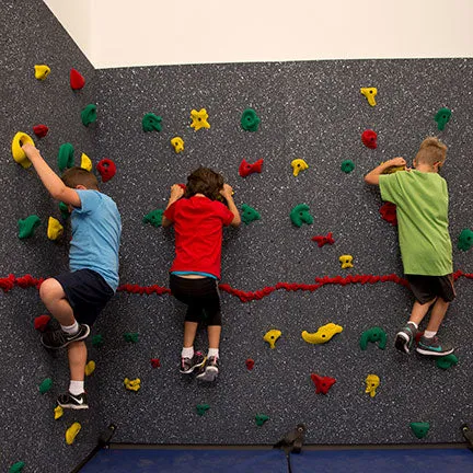 Everlast Climbing 10' H Magna® Climbing Wall