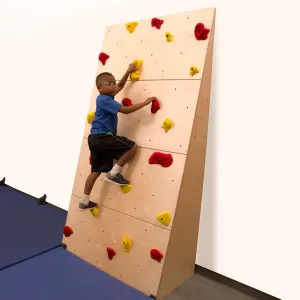 Everlast Climbing Climb-Able™ Wall