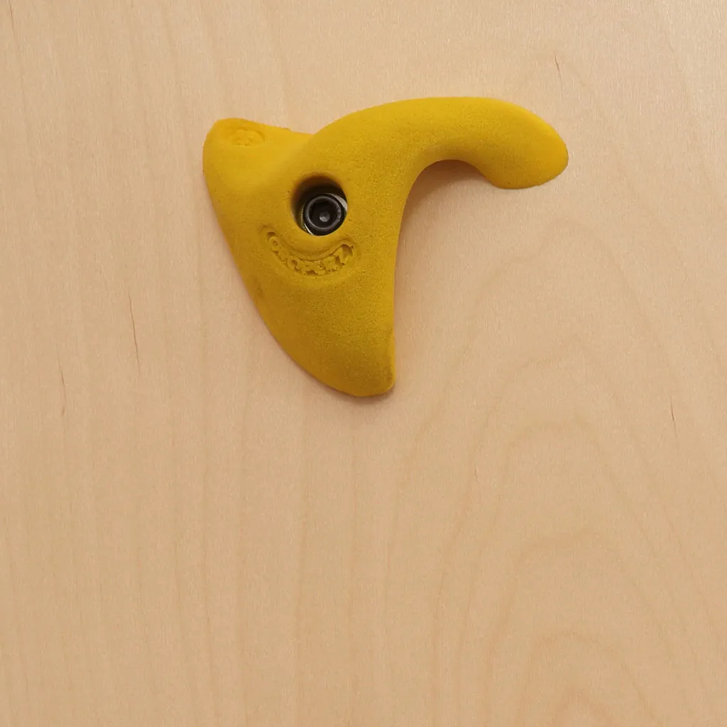Everlast Climbing Climb-Able™ Wall