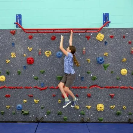 Everlast Climbing Safari® Monkey Bars