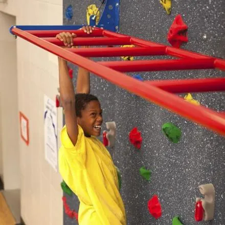Everlast Climbing Safari® Monkey Bars