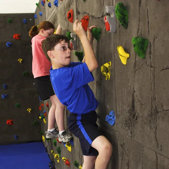 Everlast Climbing Superior Rock™ Climbing Wall