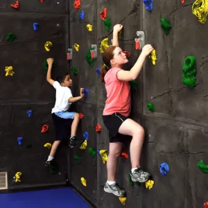 Everlast Climbing Superior Rock™ Climbing Wall