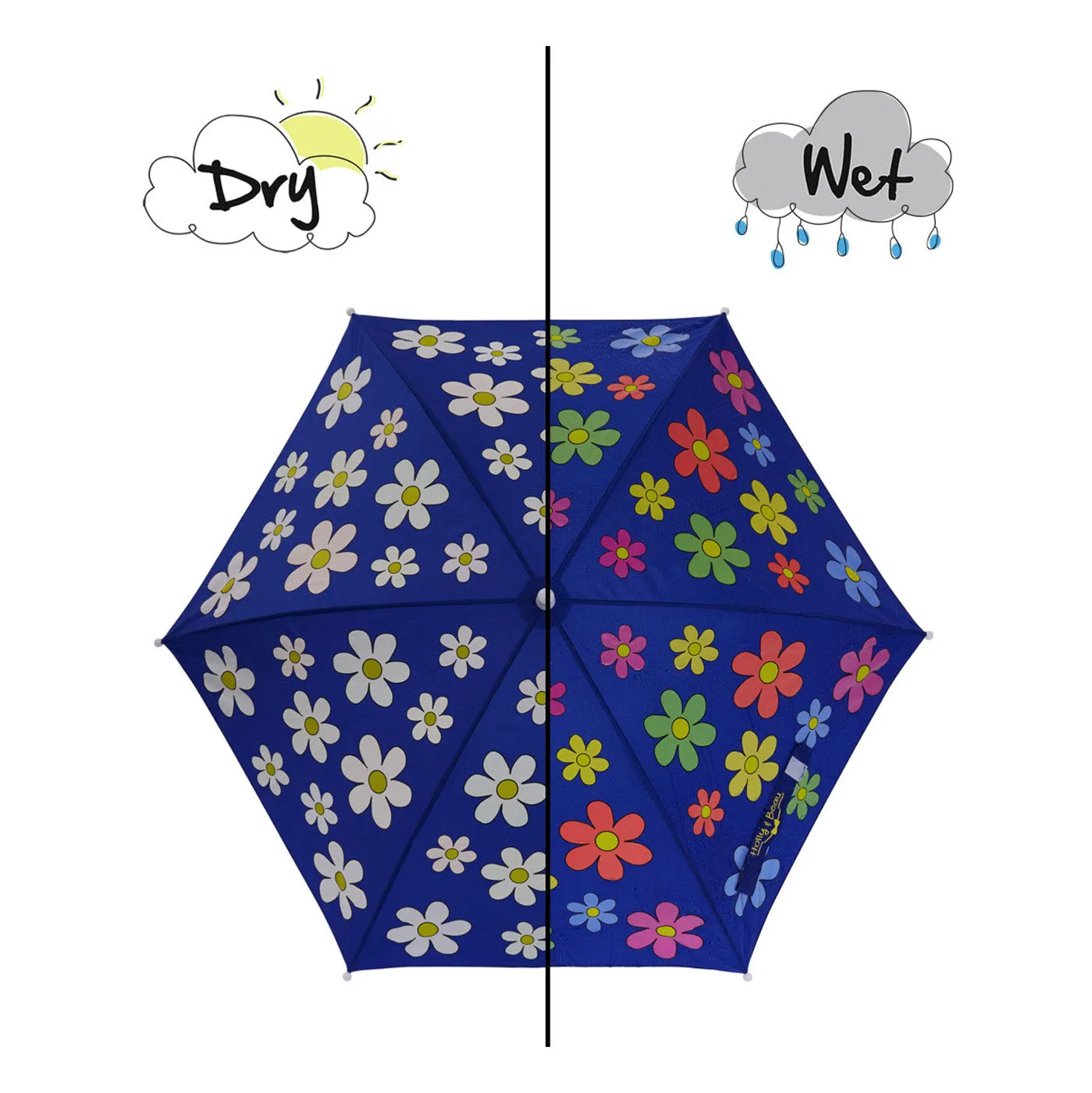 Flower Colour Changing Umbrella