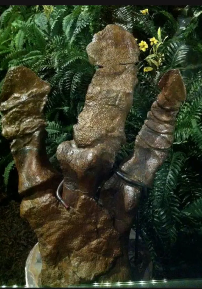 Hadrosaurus:. Mary Ann the Hadrosaur