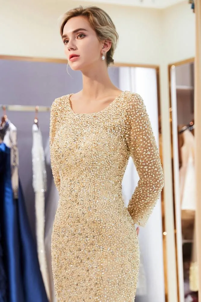 Long Sleeves Sequined Open Back Mermaid Periwinkle Blue Evening Dress