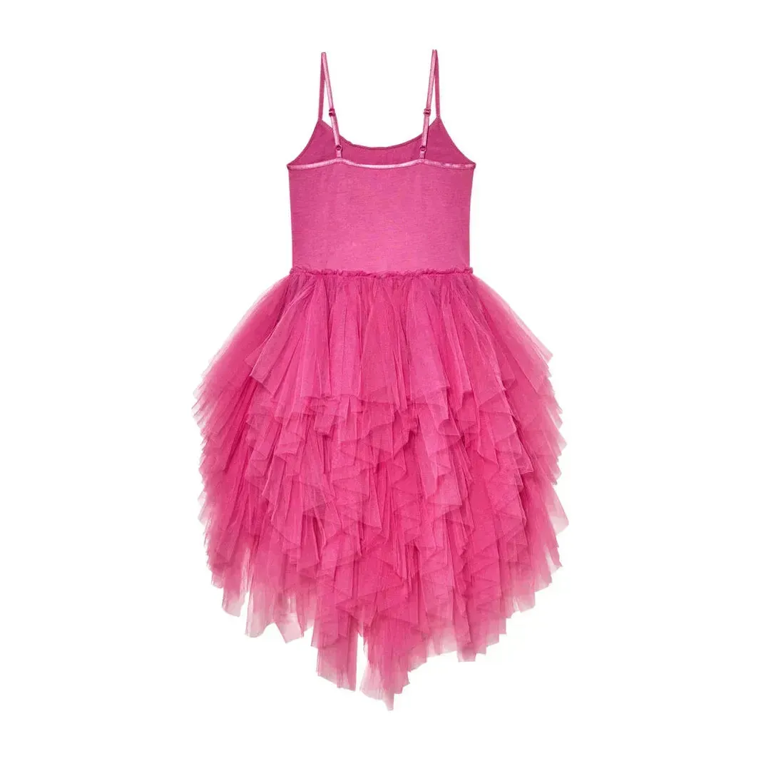 Magical Spectrum Tutu Dress