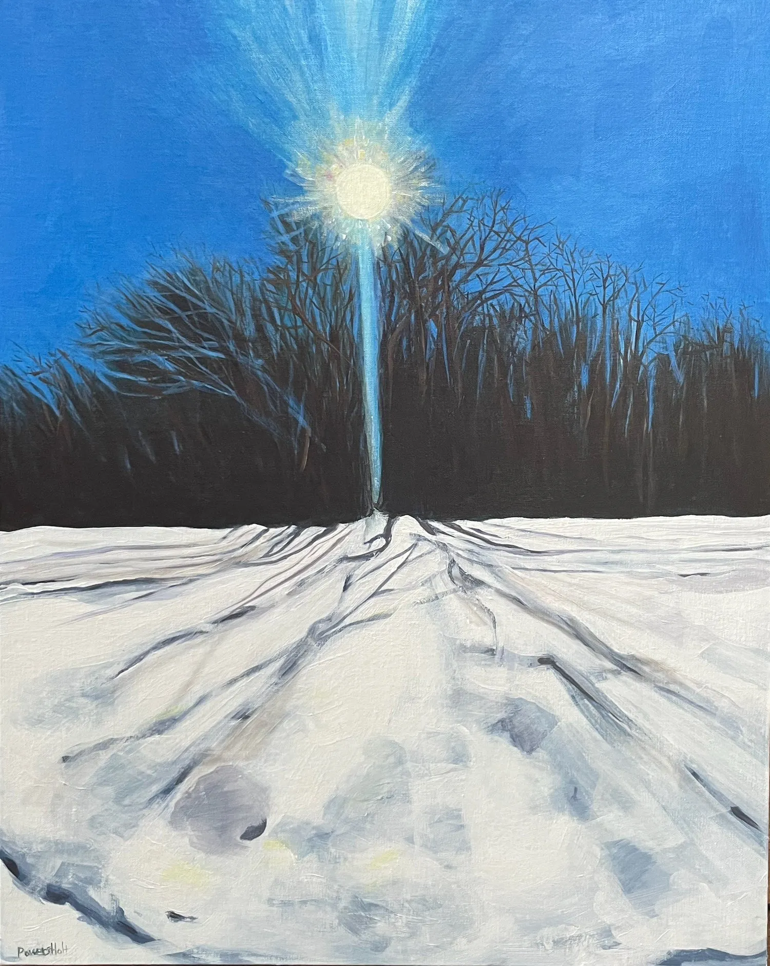 Mary Powers-Holt: Swirling Snow and Sun, February