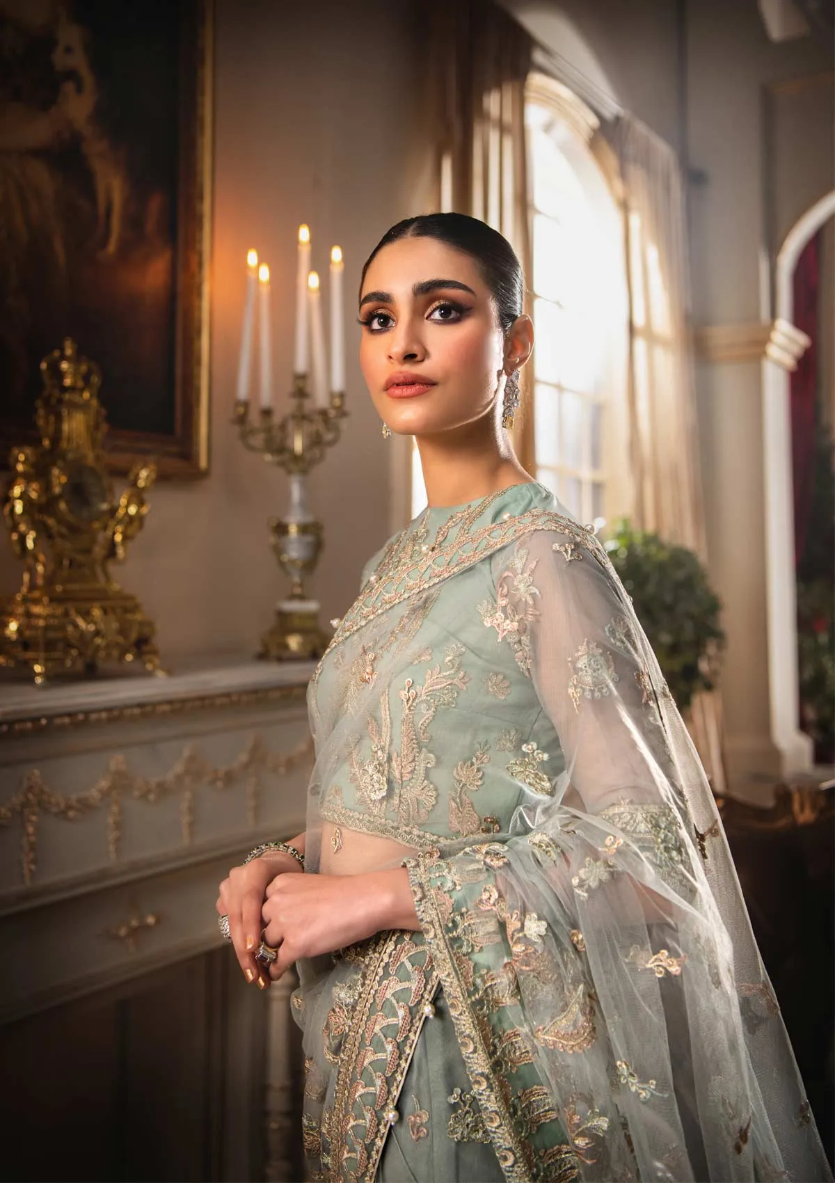 Pakistani Saree Dress in Greenish Grey Shade #PF460