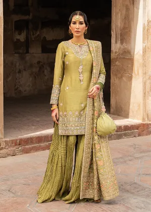 Pakistani Suits Party Wear In Green Color 2021 #PF155