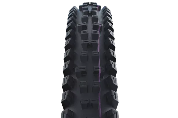Schwalbe Tyre Tacky Chan