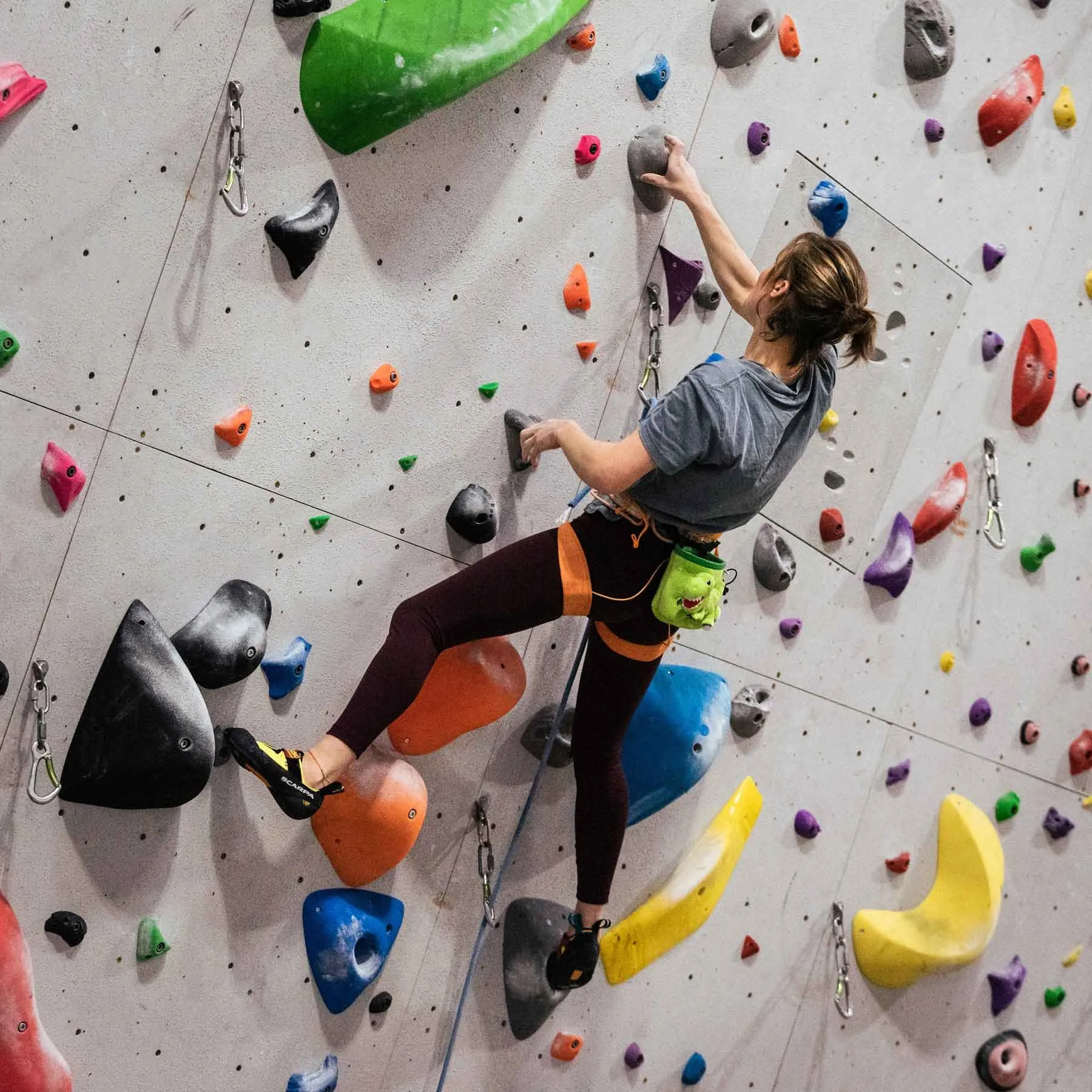 T-Rex Rock Climbing Chalk Bag