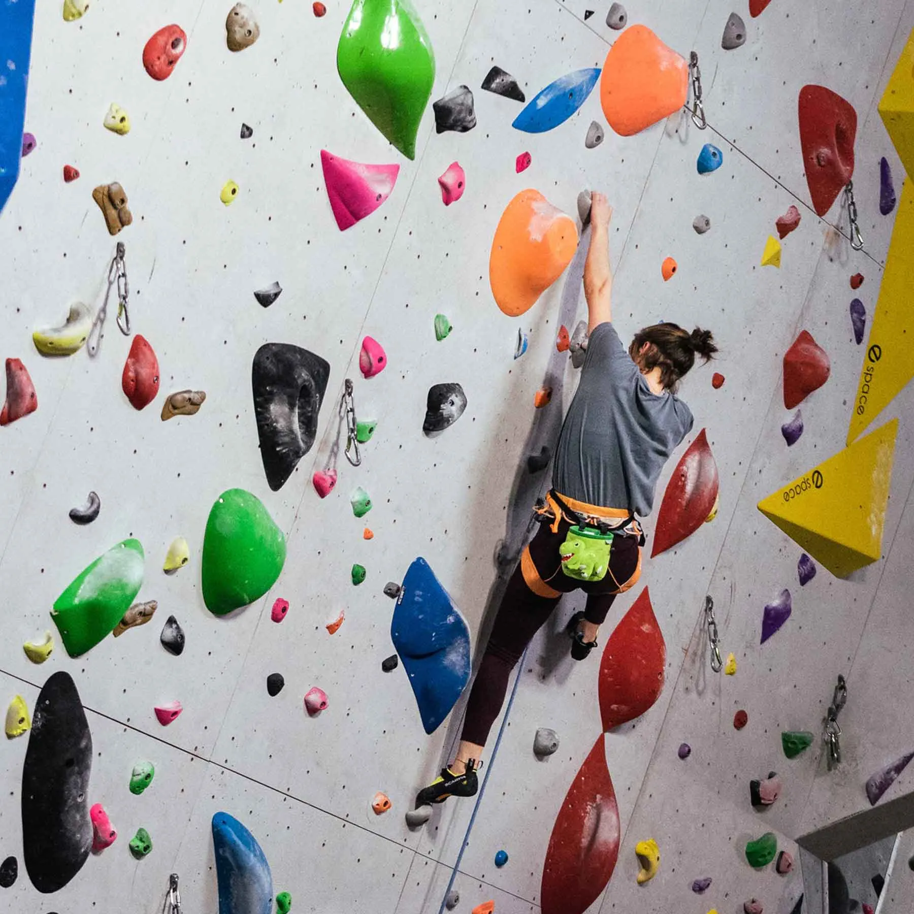 T-Rex Rock Climbing Chalk Bag