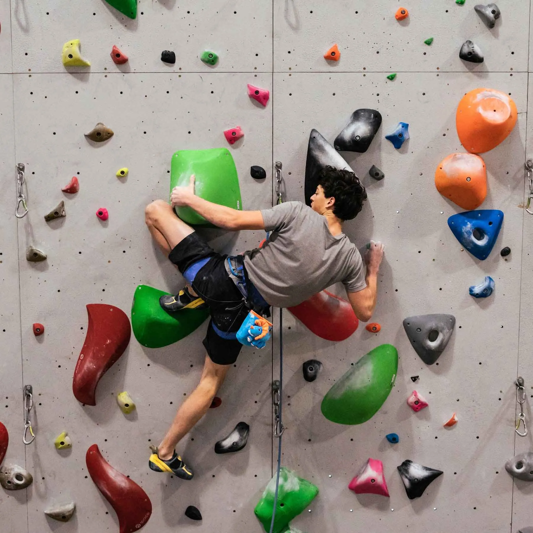 Triceratops Rock Climbing Chalk Bag