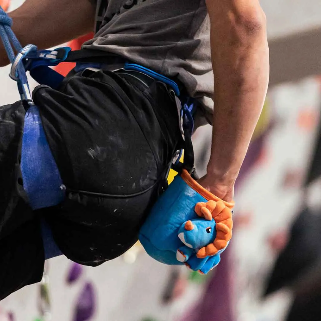 Triceratops Rock Climbing Chalk Bag