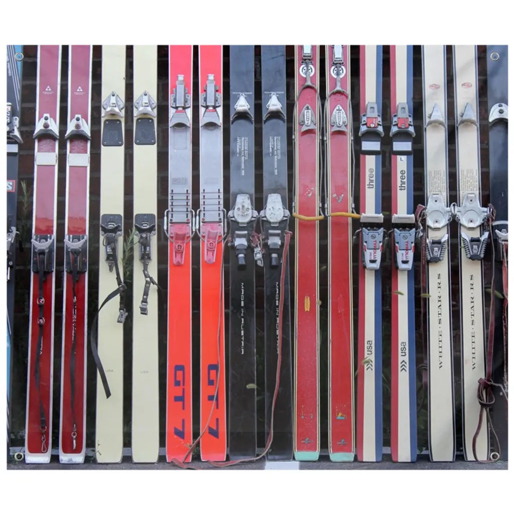 Vintage Skis - Wall Tapestry